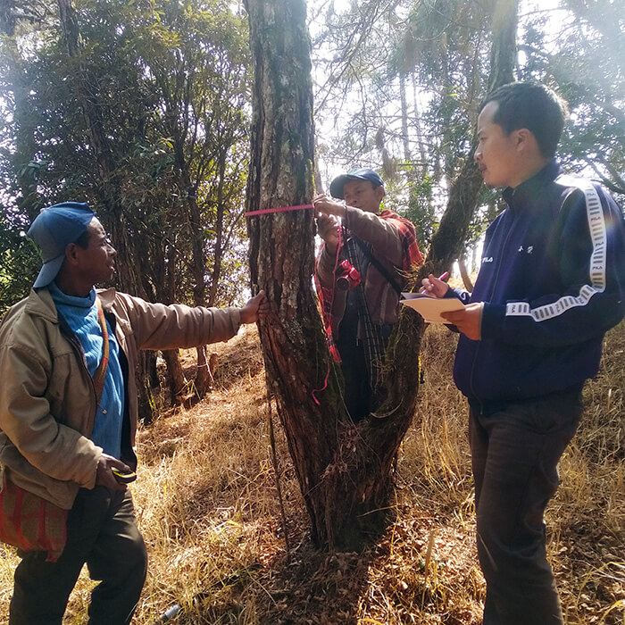 Nordkak Klimakompensering Khasi Hills Measuring